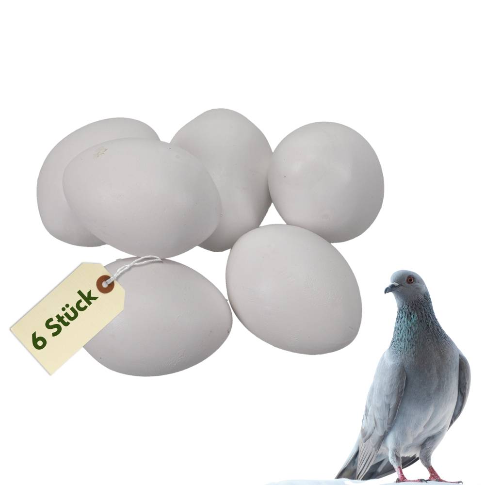 6x Legeeier Kunsteier Nesteier für Hühner Gipseier für Tauben Bruteier Künstliche Eier Taubeneier 15gr 40x30 mm
