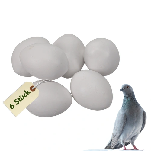 6x Legeeier Kunsteier Nesteier für Hühner Gipseier für Tauben Bruteier Künstliche Eier Taubeneier 15gr 40x30 mm 6x Legeeier Kunsteier Nesteier für Hühner Gipseier für Tauben Bruteier Künstliche Eier Taubeneier 15gr 40x30 mm