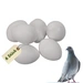 6x Legeeier Kunsteier Nesteier für Hühner Gipseier für Tauben Bruteier Künstliche Eier Taubeneier 15gr 40x30 mm 6x Legeeier Kunsteier Nesteier für Hühner Gipseier für Tauben Bruteier Künstliche Eier Taubeneier 15gr 40x30 mm