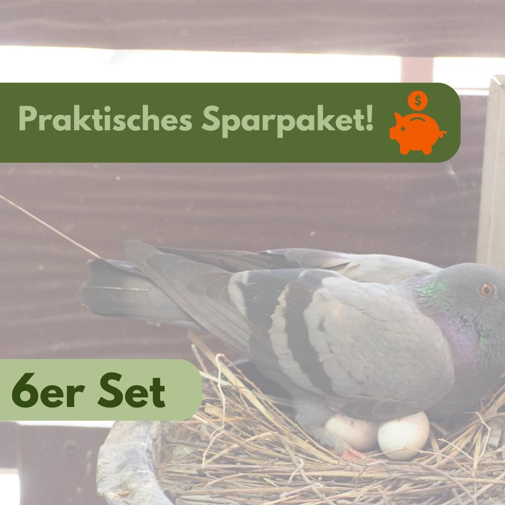 6x Legeeier Kunsteier Nesteier für Hühner Gipseier für Tauben Bruteier Künstliche Eier Taubeneier 15gr 40x30 mm