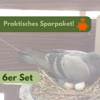 6x Legeeier Kunsteier Nesteier für Hühner Gipseier für Tauben Bruteier Künstliche Eier Taubeneier 15gr 40x30 mm 6x Legeeier Kunsteier Nesteier für Hühner Gipseier für Tauben Bruteier Künstliche Eier Taubeneier 15gr 40x30 mm