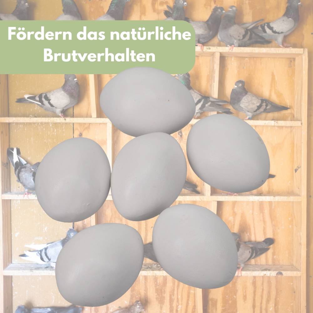 6x Legeeier Kunsteier Nesteier für Hühner Gipseier für Tauben Bruteier Künstliche Eier Taubeneier 15gr 40x30 mm