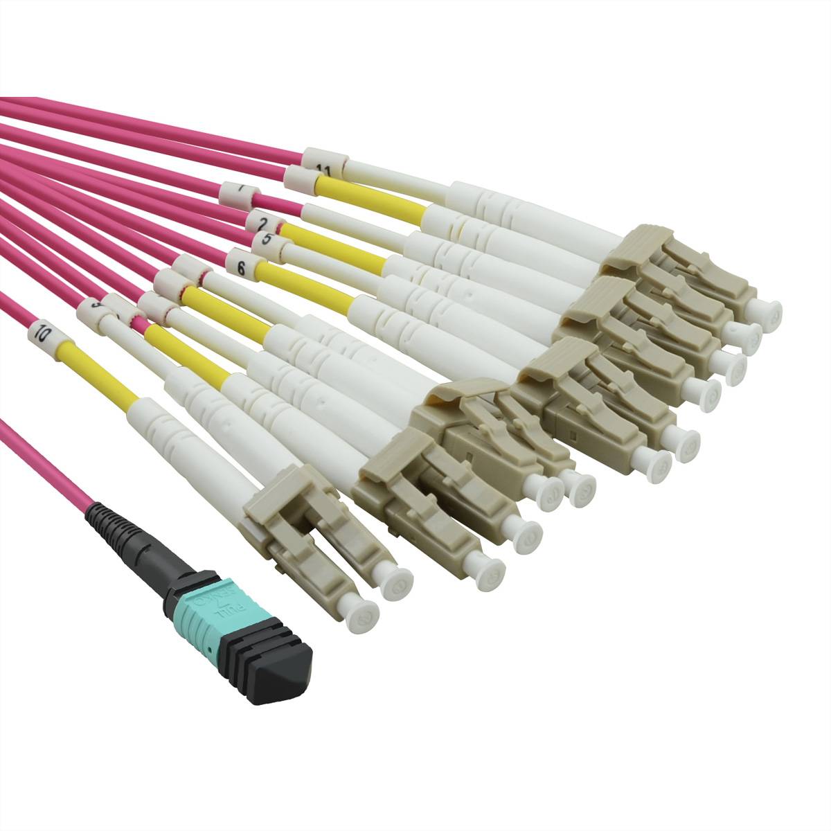 VALUE MPO-Fanout-Kabel 50/125µm OM4, MPO/12x LC, violett, 2 m Fiber Optic Kabel MPO (multi-fibre