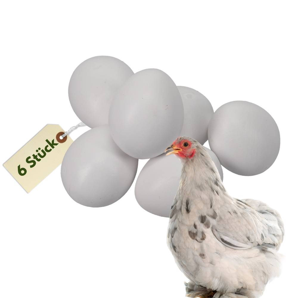 6x Legeeier Kunsteier Nesteier für Hühner Zwerghühner Gipseier für Tauben Bruteier Künstliche Eier Taubeneier