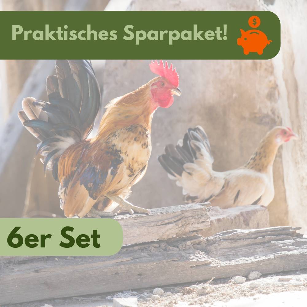 6x Legeeier Kunsteier Nesteier für Hühner Zwerghühner Gipseier für Tauben Bruteier Künstliche Eier Taubeneier