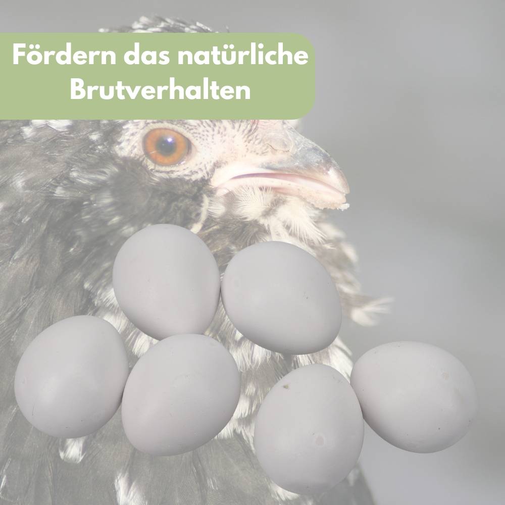 6x Legeeier Kunsteier Nesteier für Hühner Zwerghühner Gipseier für Tauben Bruteier Künstliche Eier Taubeneier