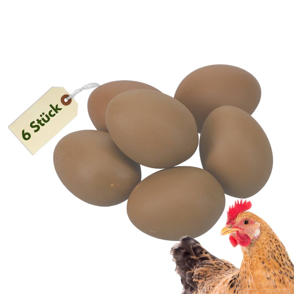 6x Legeeier Kunsteier Nesteier für Hühner Gipseier Bruteier Fasanen Enten Künstliche Eier Hühnereier Braun