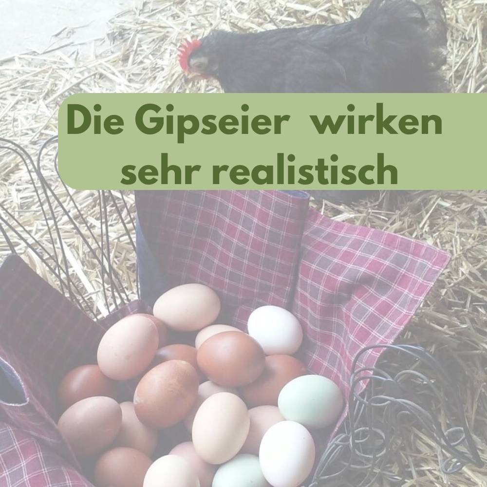 6x Legeeier Kunsteier Nesteier für Hühner Gipseier Bruteier Fasanen Enten Künstliche Eier Hühnereier Braun