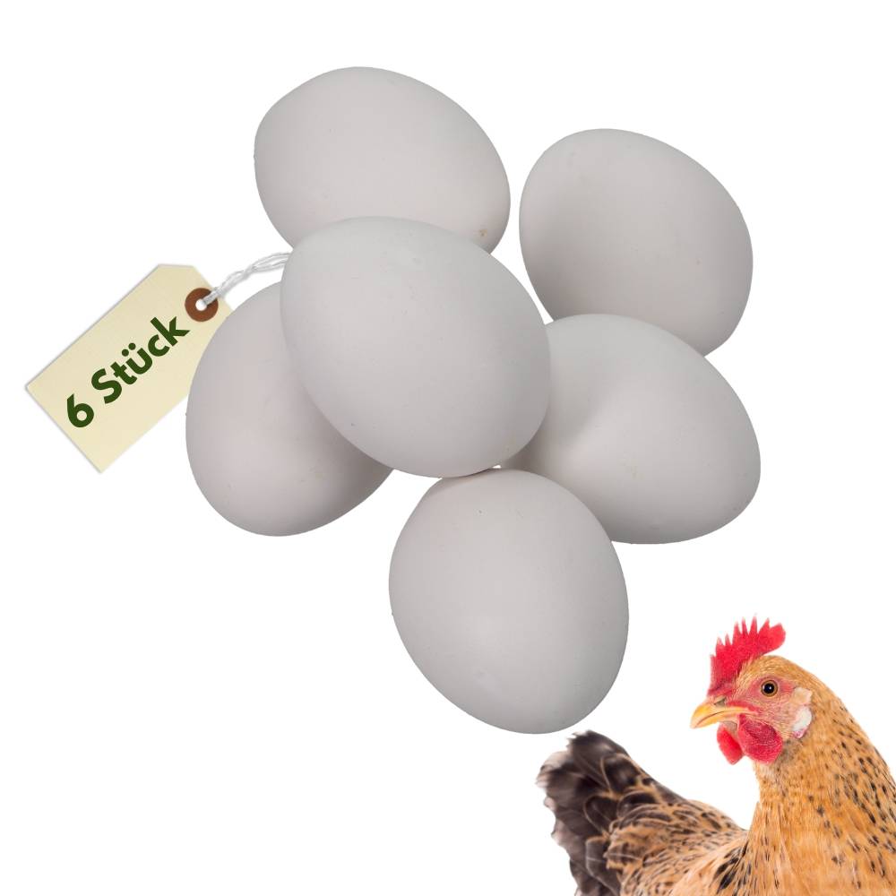 6x Legeeier Kunsteier Nesteier für Hühner Gipseier Bruteier Fasanen Enten Künstliche Eier Hühnereier Weiß