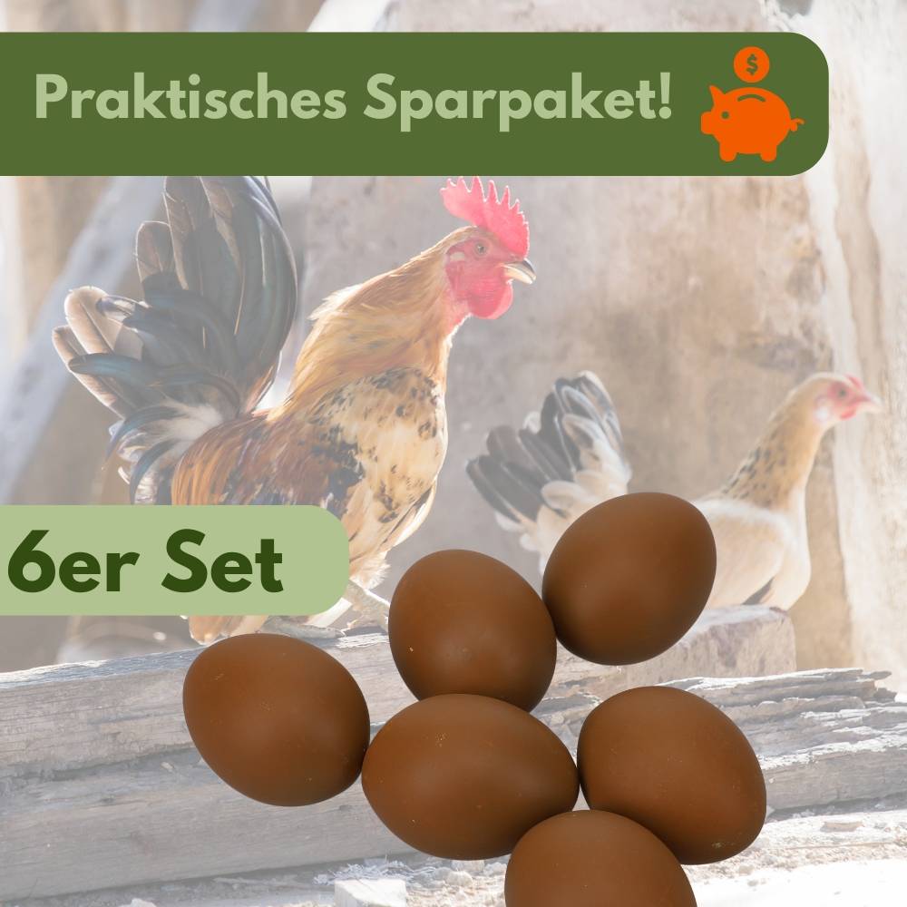 6x Legeeier Kunsteier Nesteier für Hühner Gipseier Bruteier Fasanen Gänse Enten Künstliche Eier Enteneier Braun