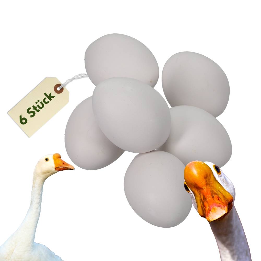 6x Legeeier Kunsteier Nesteier Gipseier Bruteier Fasanen Gänse Enten Künstliche Eier Gänseeier Weiß