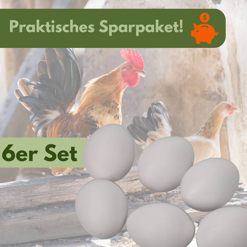 6x Legeeier Kunsteier Nesteier Gipseier Bruteier Fasanen Gänse Enten Künstliche Eier Gänseeier Weiß