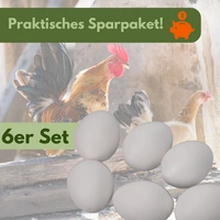 6x Legeeier Kunsteier Nesteier Gipseier Bruteier Fasanen Gänse Enten Künstliche Eier Gänseeier Weiß 6x Legeeier Kunsteier Nesteier Gipseier Bruteier Fasanen Gänse Enten Künstliche Eier Gänseeier Weiß