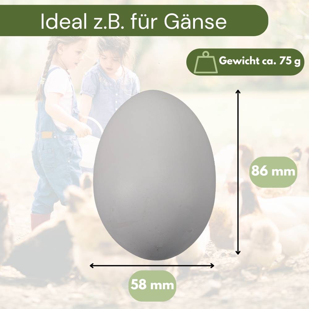 6x Legeeier Kunsteier Nesteier Gipseier Bruteier Fasanen Gänse Enten Künstliche Eier Gänseeier Weiß