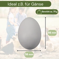 6x Legeeier Kunsteier Nesteier Gipseier Bruteier Fasanen Gänse Enten Künstliche Eier Gänseeier Weiß 6x Legeeier Kunsteier Nesteier Gipseier Bruteier Fasanen Gänse Enten Künstliche Eier Gänseeier Weiß