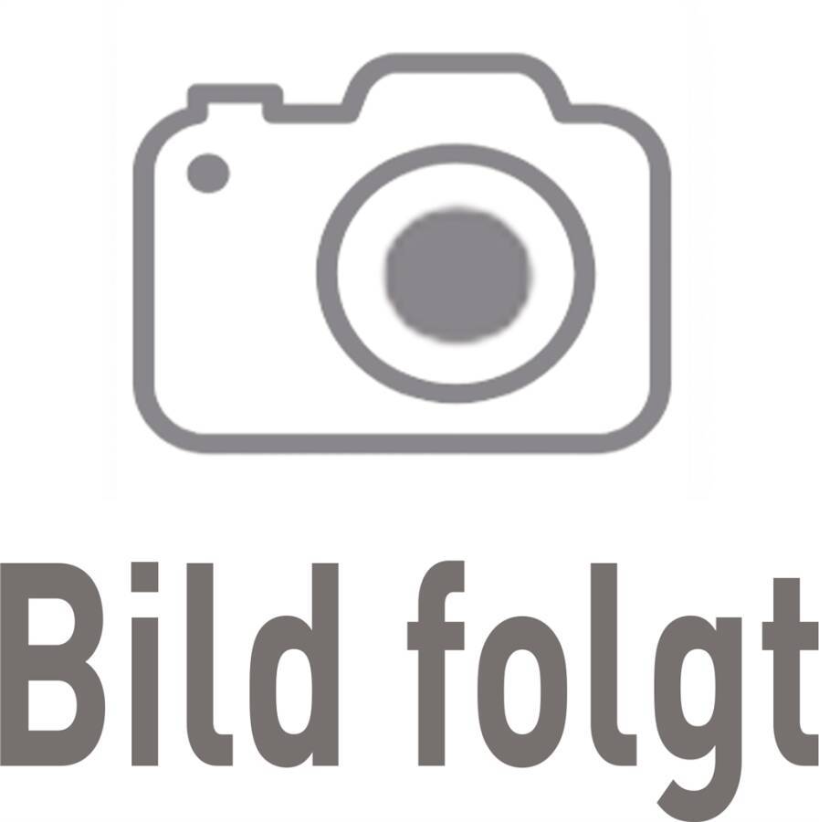 Sandschaufel Holsteiner Form 90.1121LGM Ausführung Dülle 3/4 gehoben Maße 270 x 250 mm