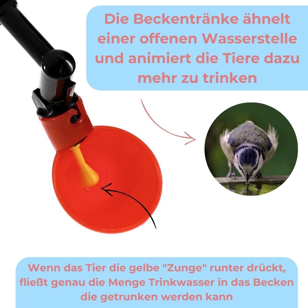 2er Set Beckentränke 500 ml Geflügeltränke Küken Nager Hasen Hühner Geflügel Wasserspender Tränkebecken Trinkflasche mit Halterung