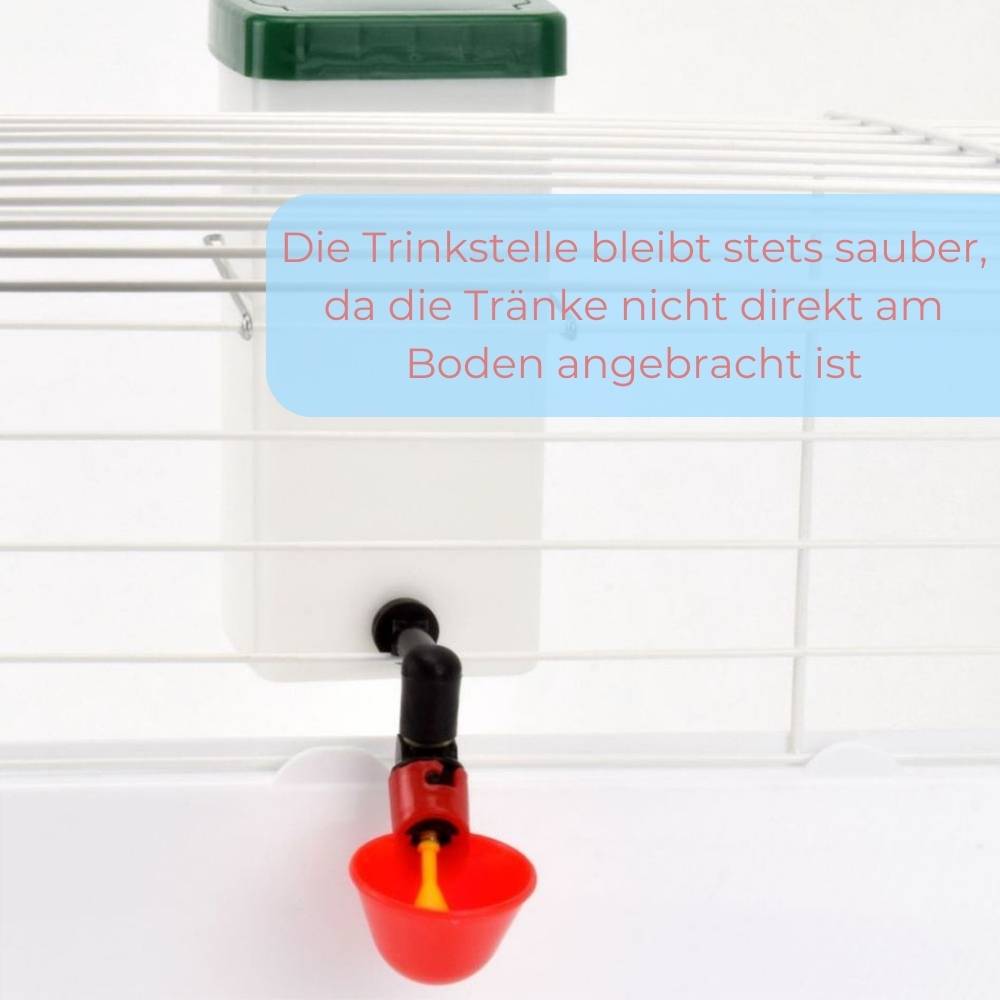2er Set Beckentränke 500 ml Geflügeltränke Küken Nager Hasen Hühner Geflügel Wasserspender Tränkebecken Trinkflasche mit Halterung