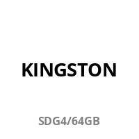 Kingston Canvas Go! Plus - Flash-Speicherkarte