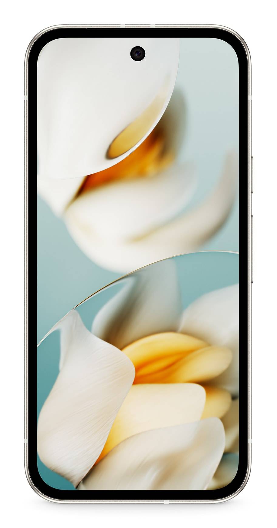 Eine Nahaufnahme einer weißen Calla-Lilie, die glatte Blütenblätter und ein gelbes Zentrum zeigt, vor einem unscharfen weichen blauen Hintergrund.