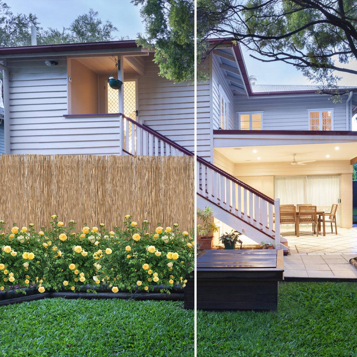 Schilfrohrmatte 100x600cm Schilfmatte Sichtschutzmatte Windschutz Sichtschutz für Balkon, Garten, Terrasse