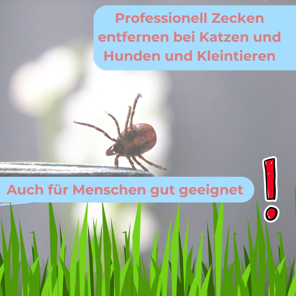 2er Set Zeckenzange Hund & Katze aus Edelstahl selbstklemmend