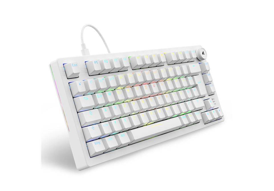 Sharkoon Gaming Tastatur Skiller SGK25 weiß DE