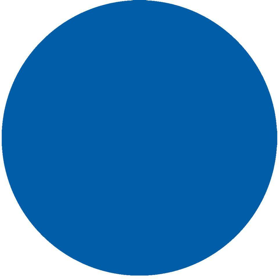 Stellplatzmarkierung Ronde, Rutschhemmung R10, extrem haltbar, blau, Spezial-Kunststoff, Ø100mm, 50/VE