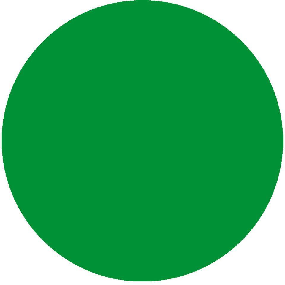 Stellplatzmarkierung Ronde, Rutschhemmung R10, extrem haltbar, grün, Spezial-Kunststoff, Ø100mm, 50/VE
