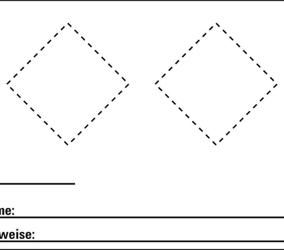 Gefahrstoffetikett zum Selbstkleben und Beschriften, für 2 Piktos, Folie, 74x52mm, 10/Bogen