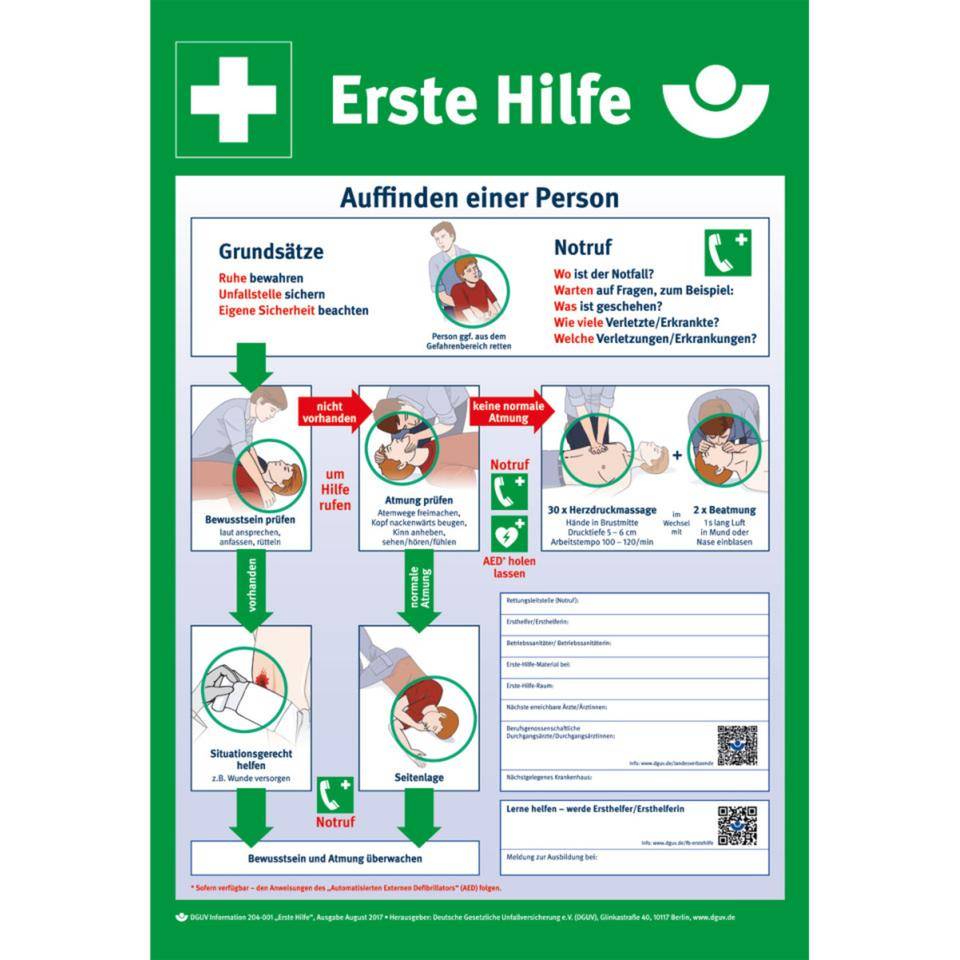 Erste Hilfe Aushang, mit den wichtigsten Erste Hilfe Schritten, Kunststoff/Polystyrol, 395x575mm, DGUV