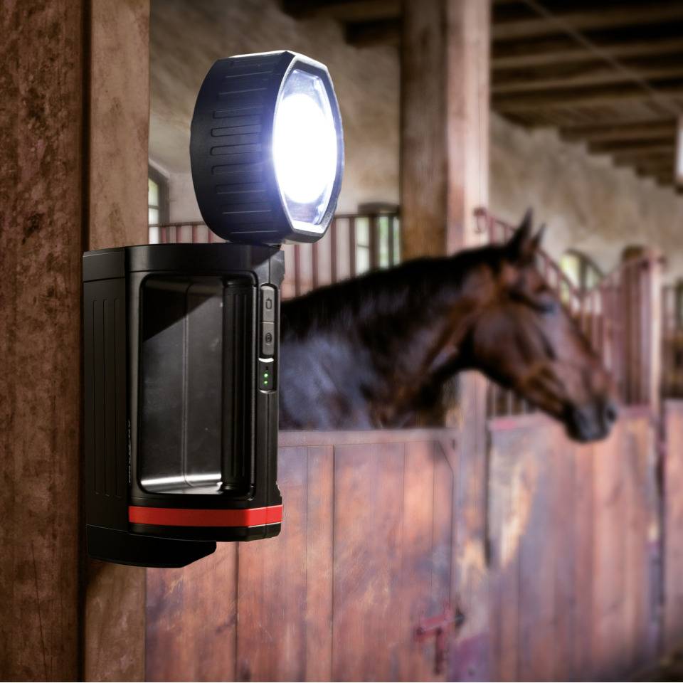 ANSMANN Handscheinwerfer TORCH, 5W Cree-LED, 250x136x100mm, inkl. Zubehör