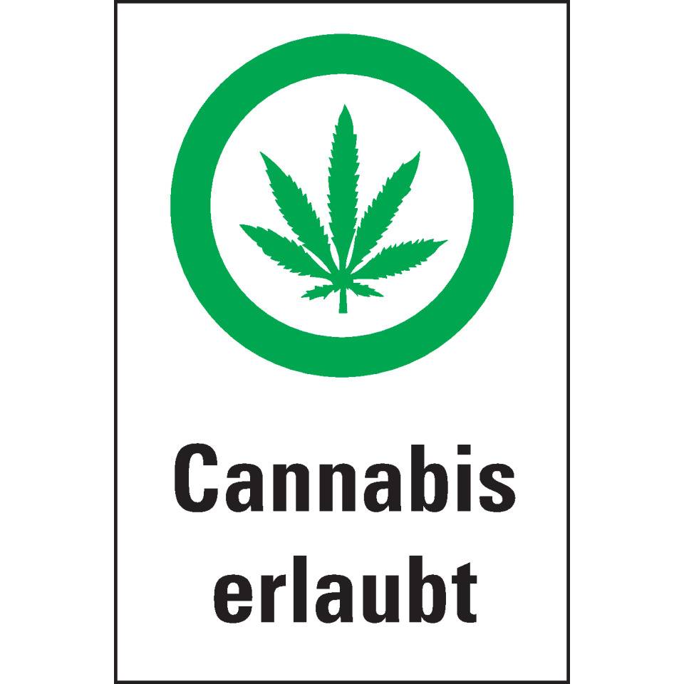 Hinweis-Kombischild Cannabis erlaubt, praxisbewährt, Folie, selbstklebend, 200x300mm