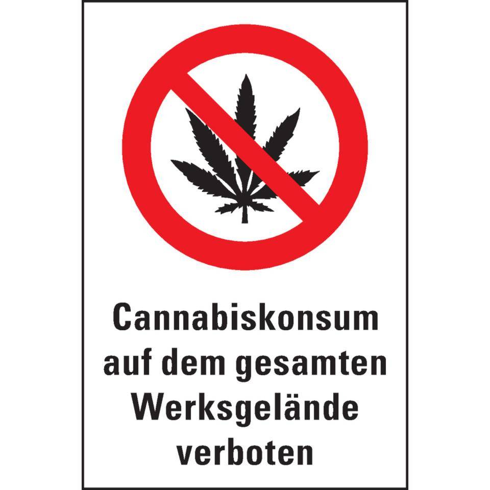 Verbots-Kombi Cannabiskonsum auf Werksgelände verboten, Kunststoff, 200x300mm