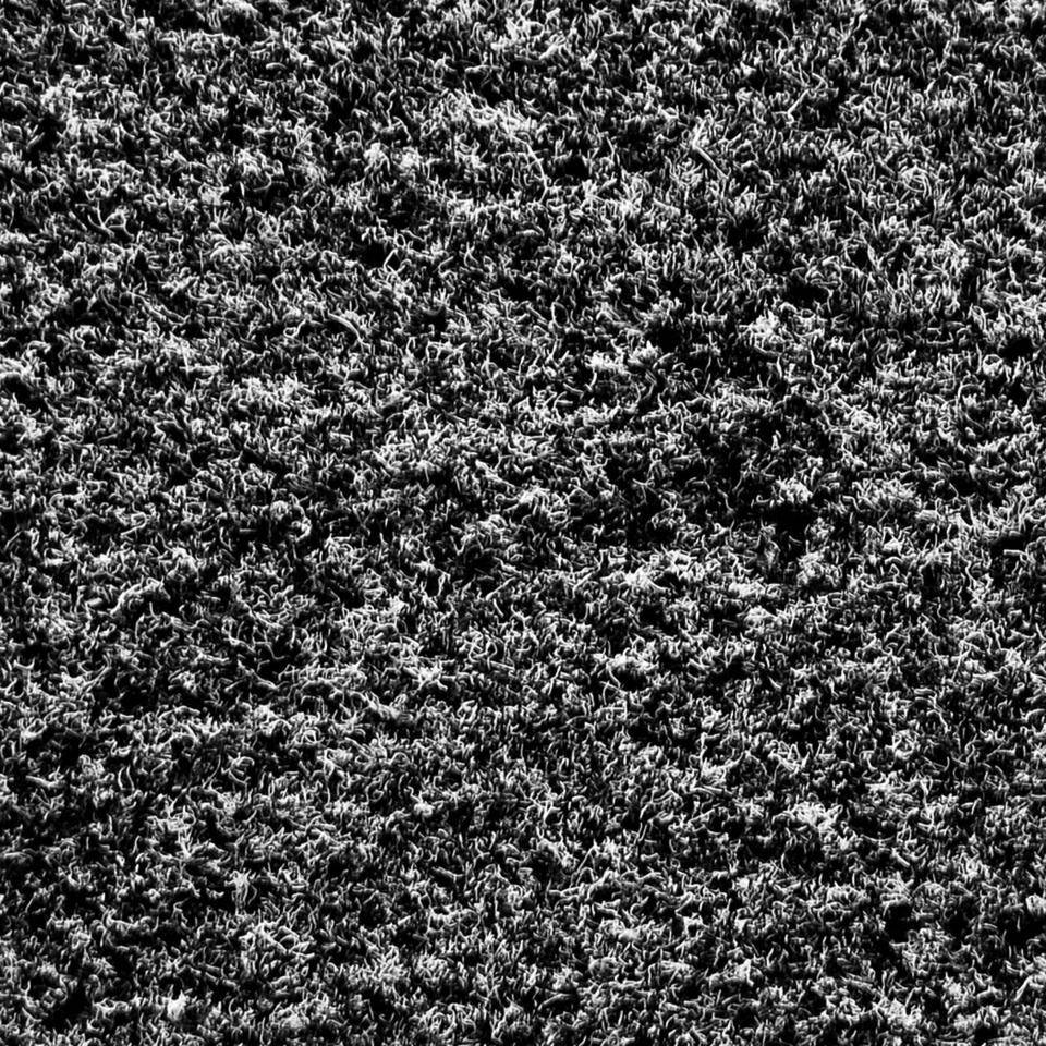 Schmutzfangmatte Eazycare Aqua,für den Innenbereich,grau,Olefin,1200x1800mm
