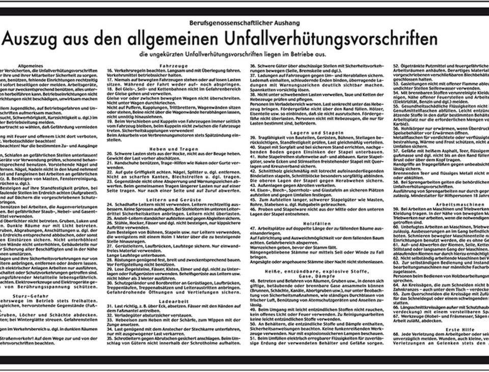 Aushang Auszug allgemeiner Unfallverhütungsvorschriften, Kunststoff, 430x260mm