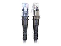 Ethernet-Kabel mit transparenten RJ45-Steckern an beiden Enden, verwendet für Netzwerkverbindungen.