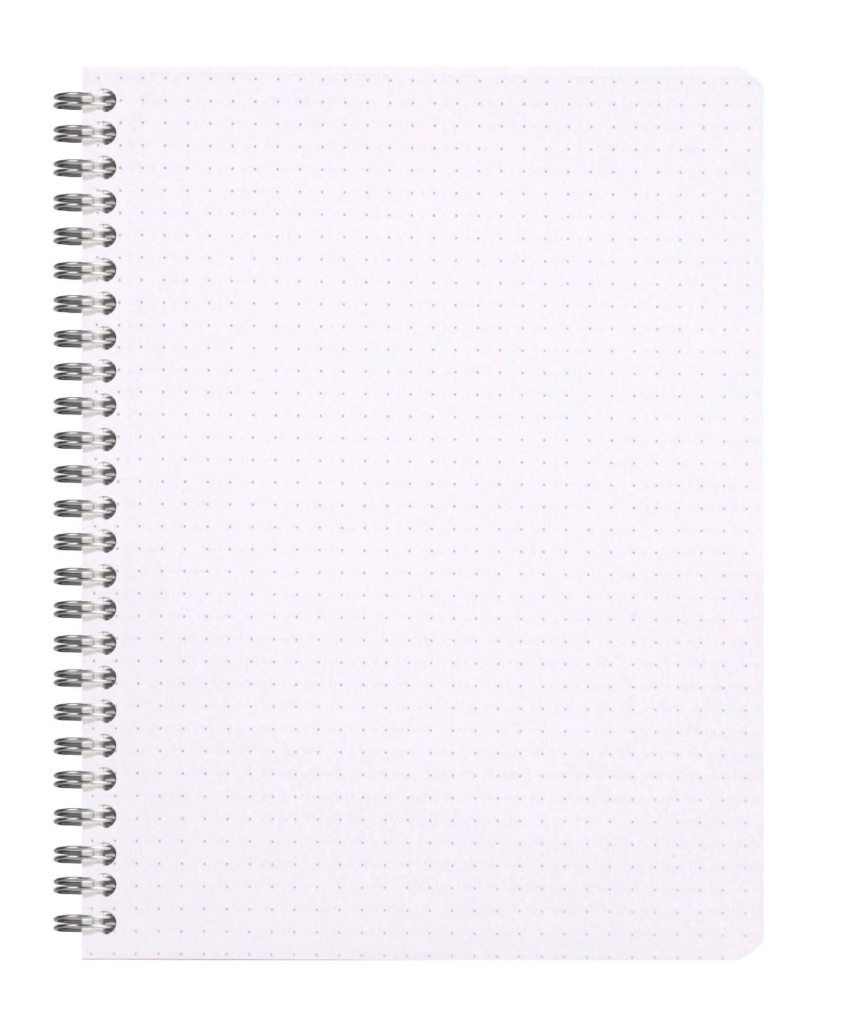 Eine leere Seite aus einem spiralgebundenen Notizbuch mit einem Gitter aus hellgrauen Punkten auf weißem Hintergrund, das zum Notizen machen oder Zeichnen verwendet wird.