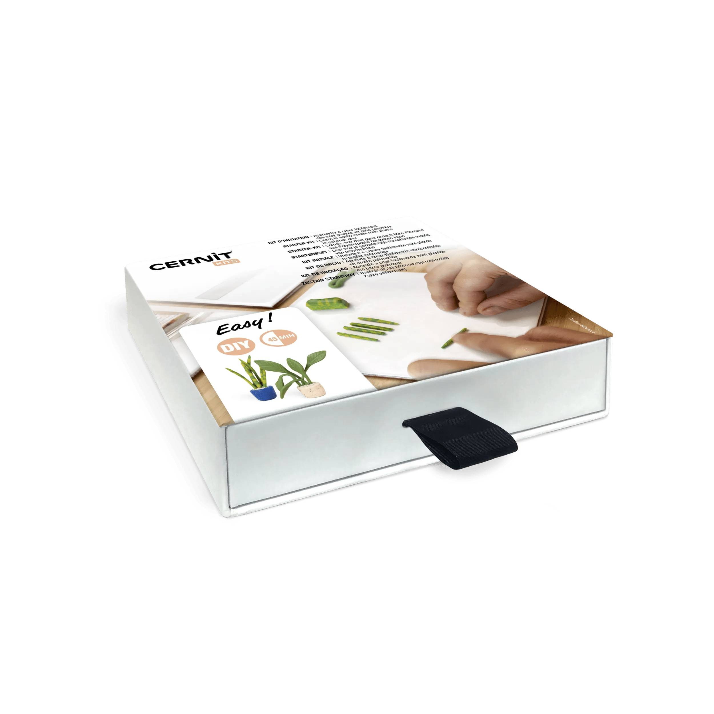 Cernit Starterset, Mini-Pflanzen, 15x15x3 cm CEKIT002C