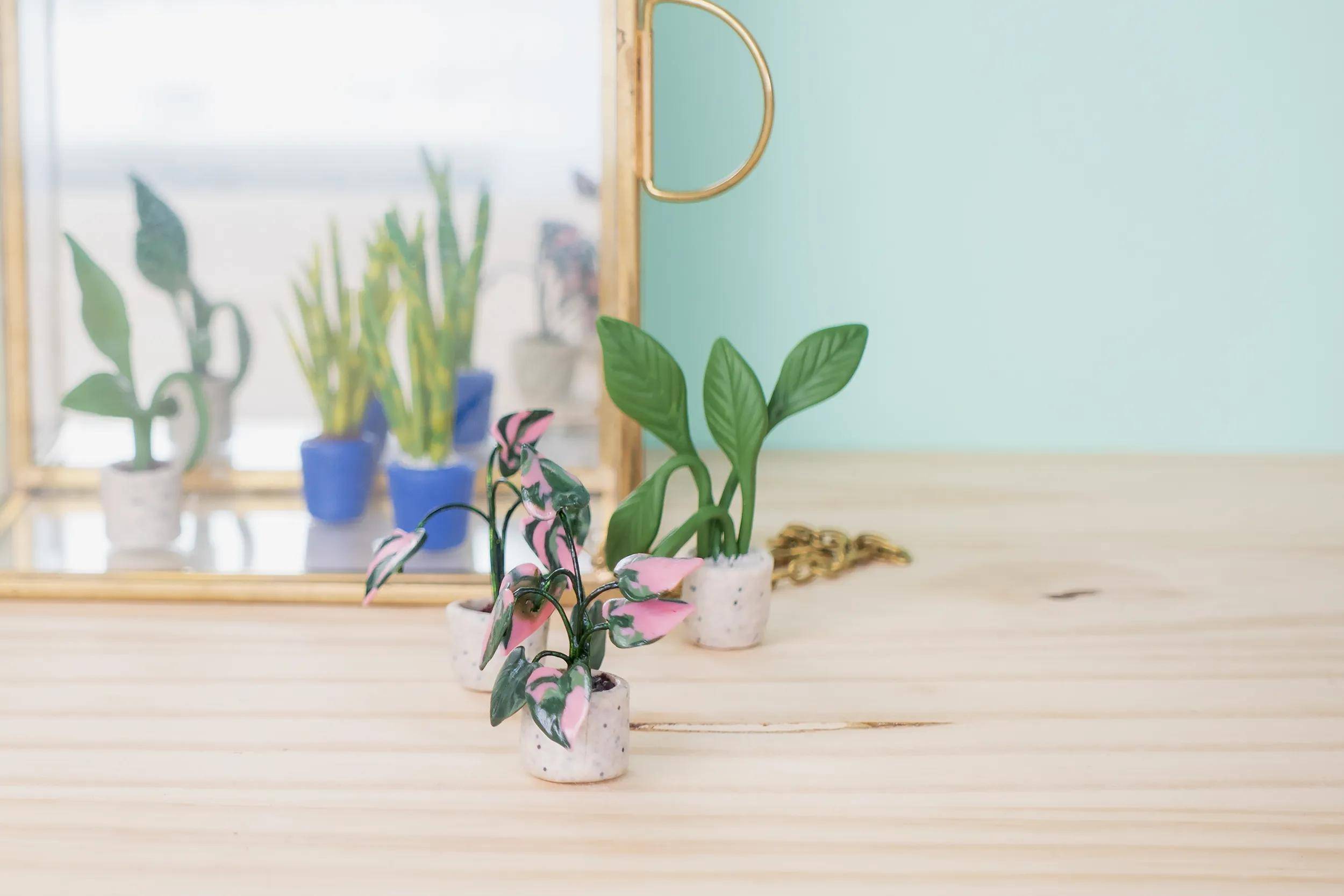 Cernit Starterset, Mini-Pflanzen, 15x15x3 cm CEKIT002C