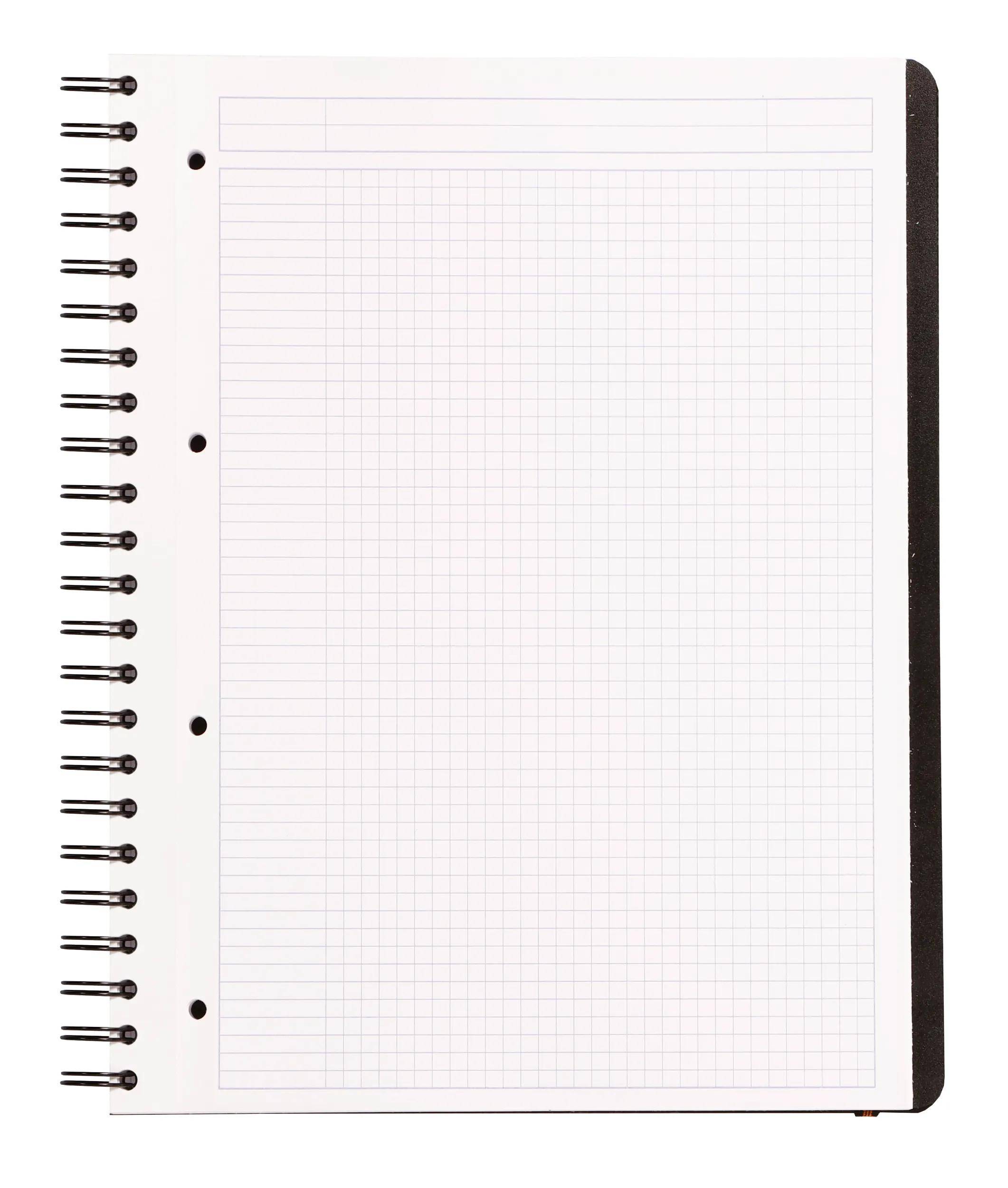 Leere Seite aus einem spiralgebundenem Millimeterpapierblock mit feinen Gitterlinien und drei Lochungen auf der linken Seite.