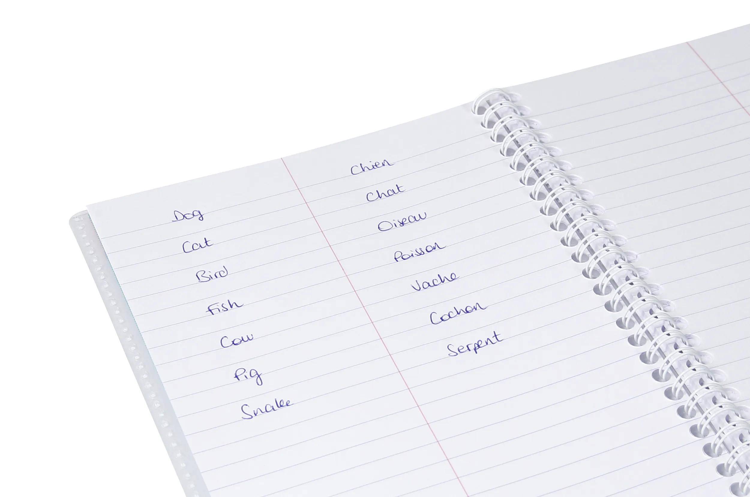 Clairefontaine 10x Koverbook, Vokabelheft A5, 50 Blatt liniert Farblos 161820C