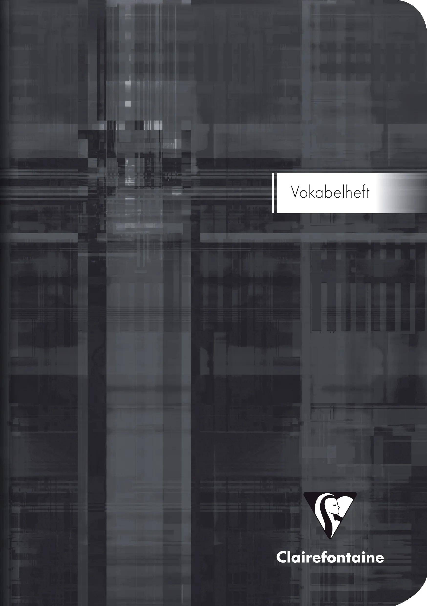 Dunkeles, abstraktes Buchcover mit dem Titel „Vokabelheft