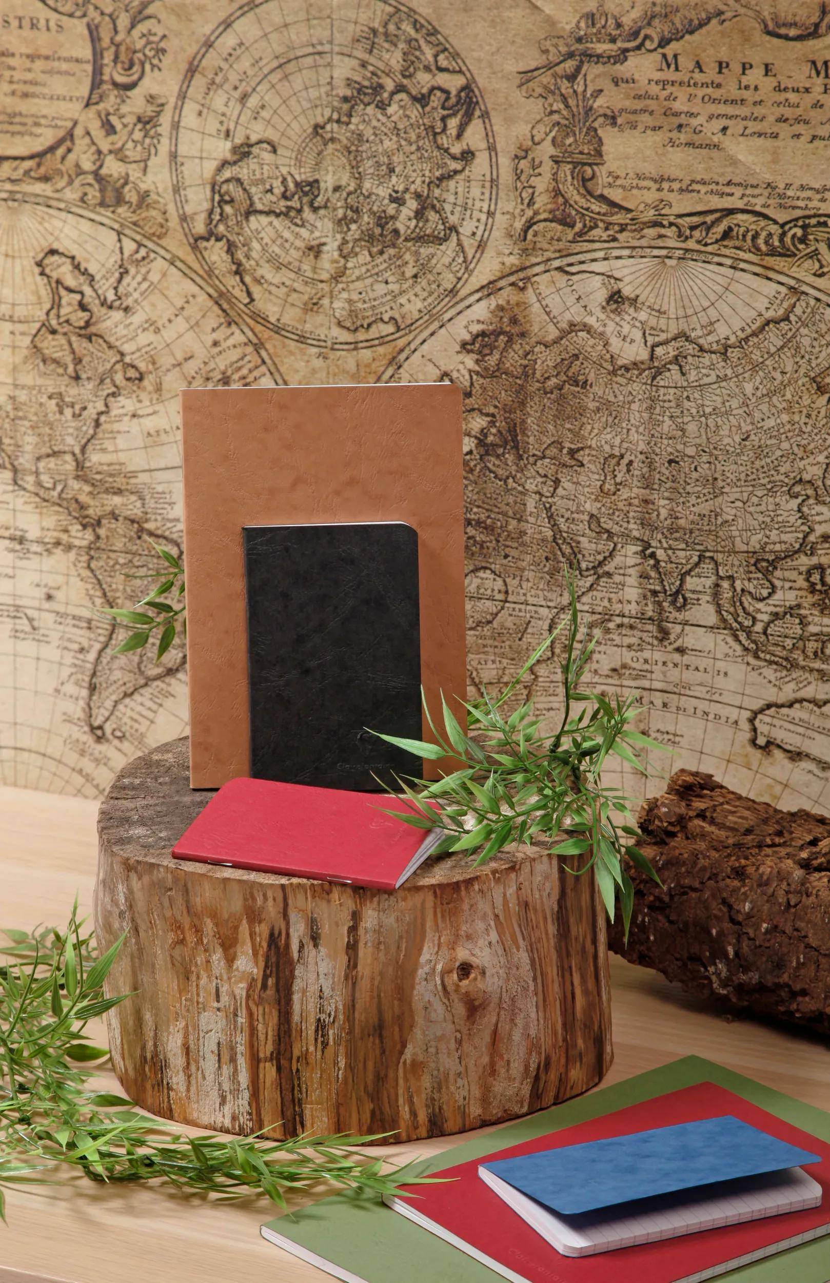 Clairefontaine 5x Age Bag, Heft A4, 48 Blatt 90g, liniert mit Rand Tabak 73306C