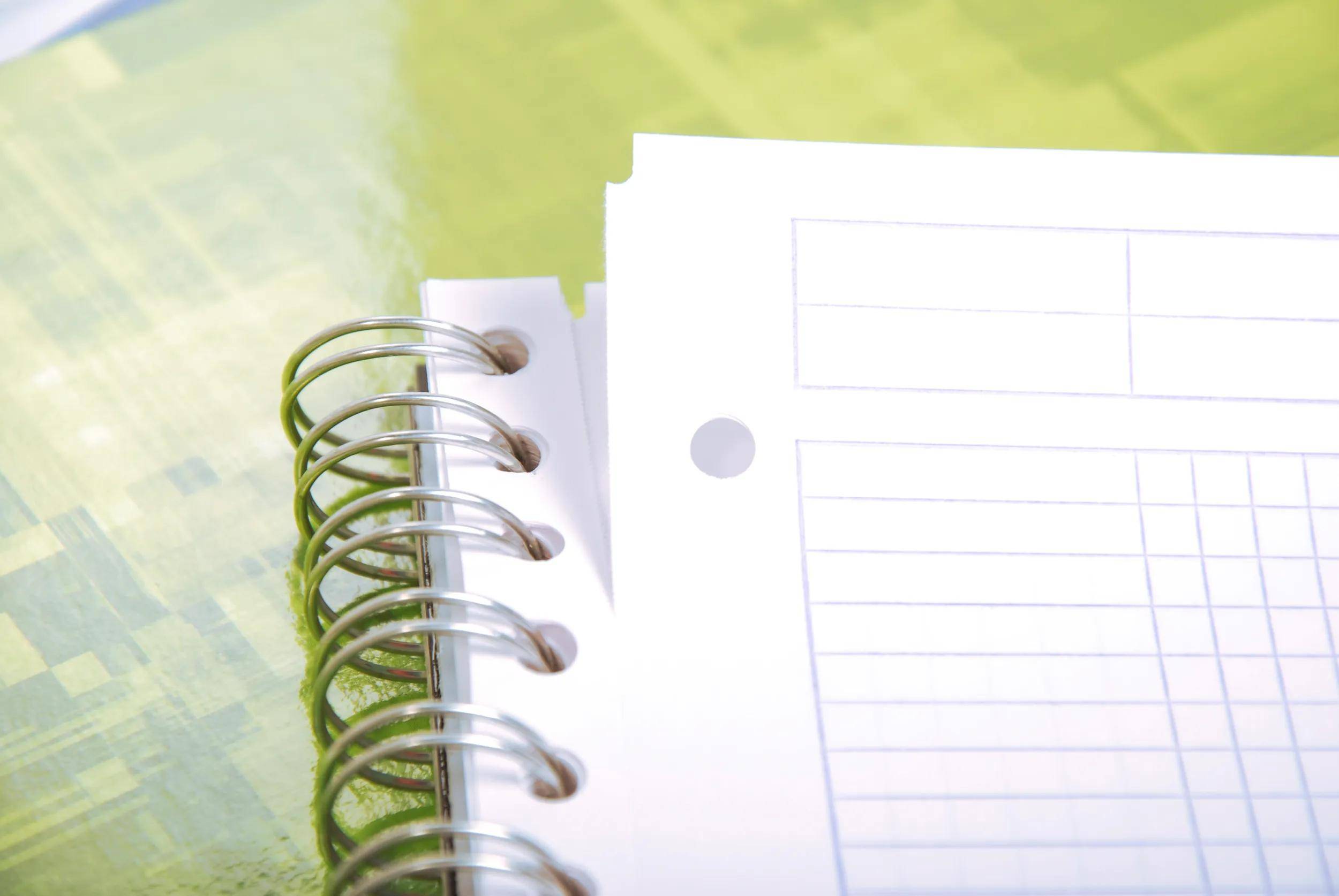 Clairefontaine 5x BIND'O BLOCK Konferenzblock A4, 80 Blatt kariert - Blau 82123C