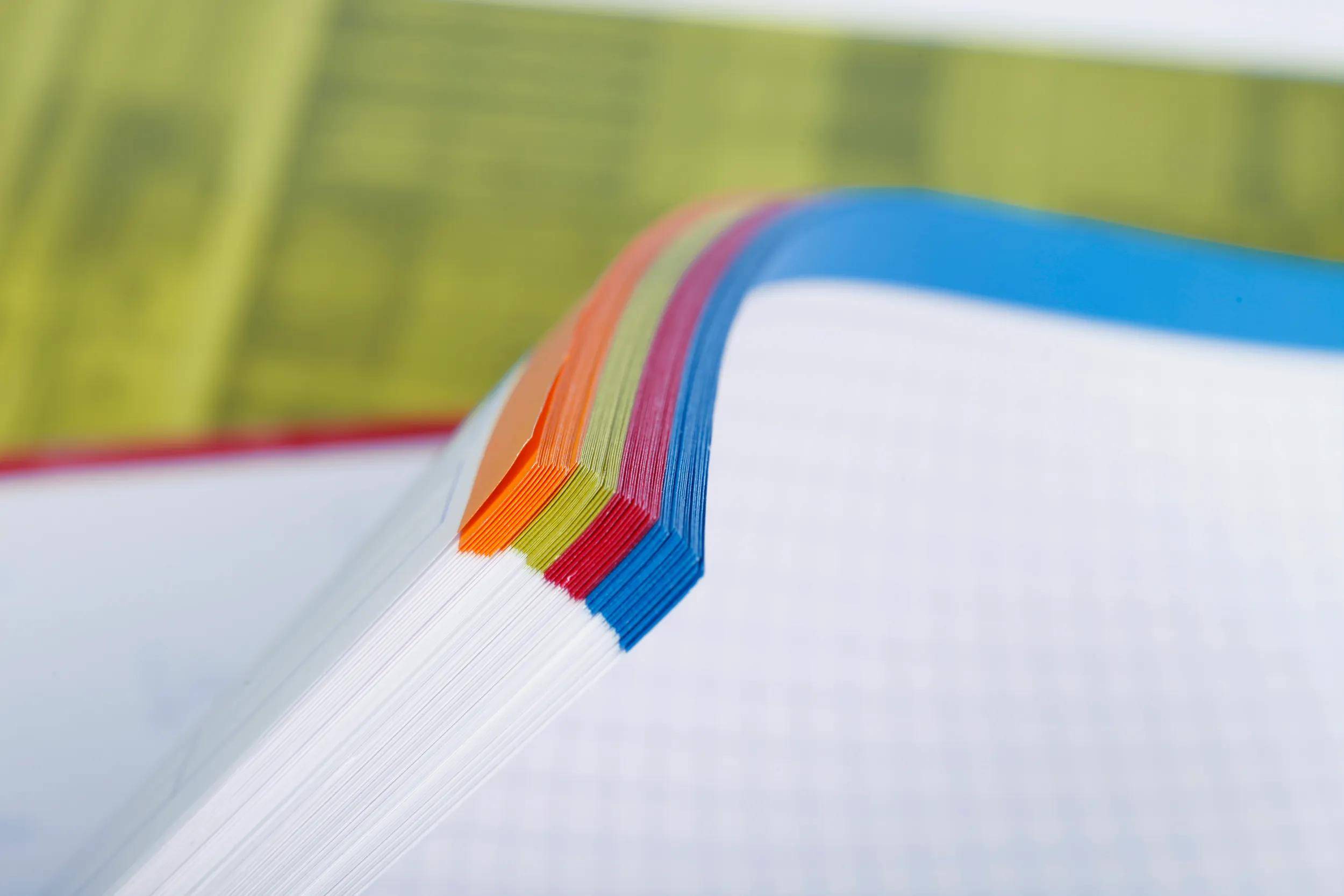 Clairefontaine 5x BIND'O BLOCK Konferenzblock A4, 80 Blatt kariert - Blau 82123C