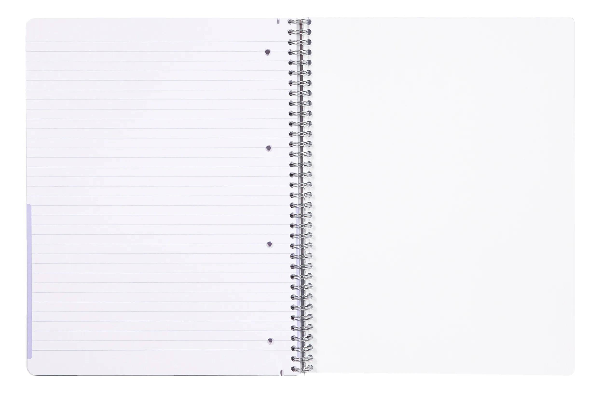 Clairefontaine 5x Collegeblock A4+ 40Bl kariert + 40 Bl liniert Blau/rot 82526C