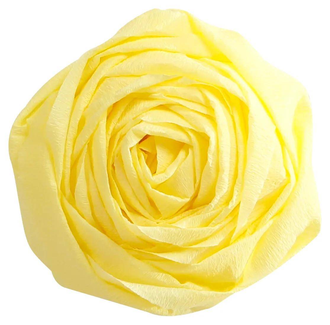 Nahaufnahme einer blassgelben Rosenblüte isoliert auf weißem Hintergrund.