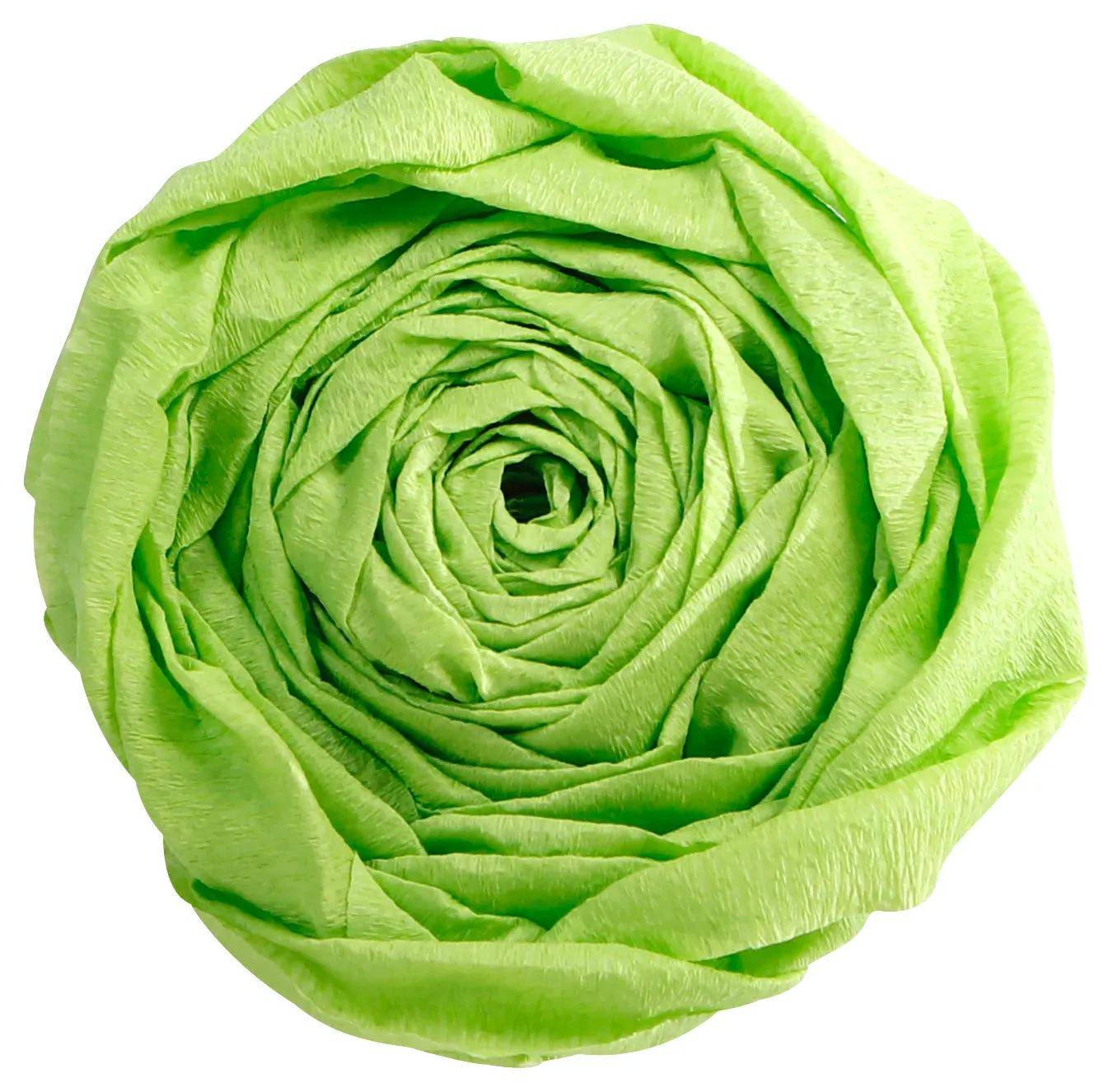 Nahaufnahme einer grünen Rosenblüte auf weißem Hintergrund.