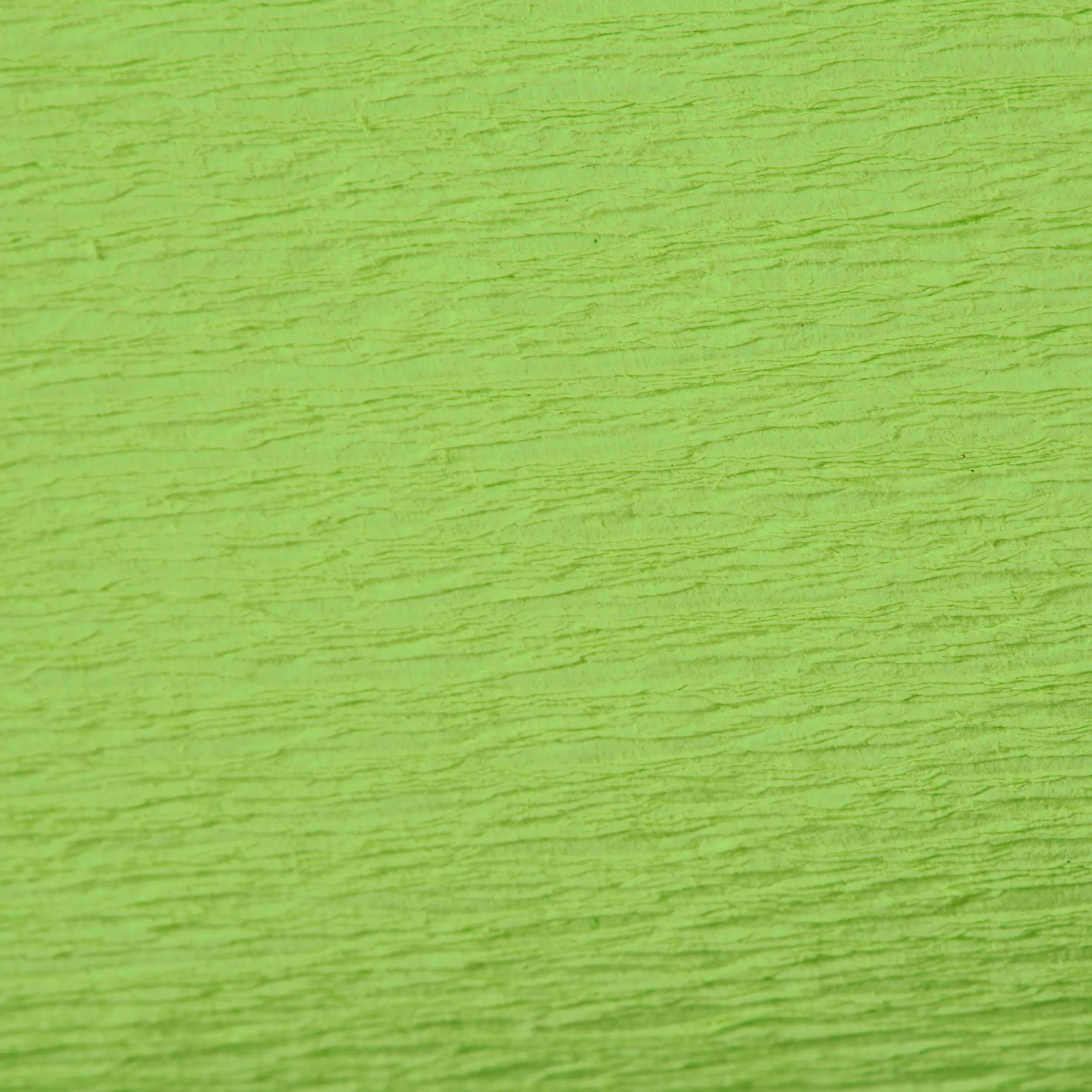 Clairefontaine 10x Krepppapier 1 Blatt 2,50x0,50m Apfelgrün 95119C